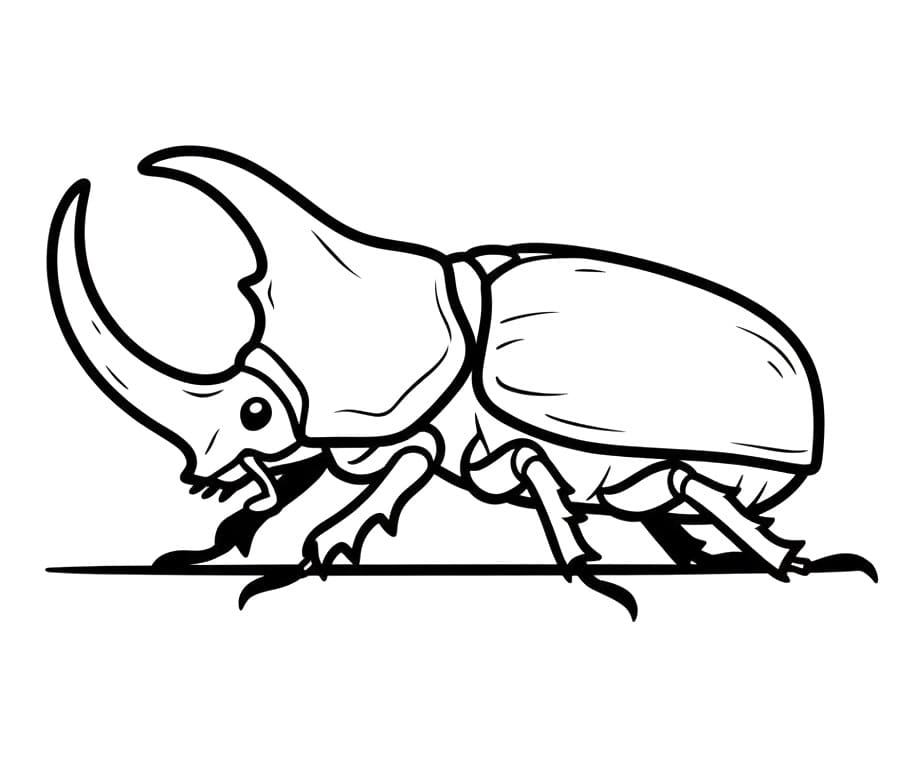 Coloriage Scarabée Gratuit Pour les Enfants