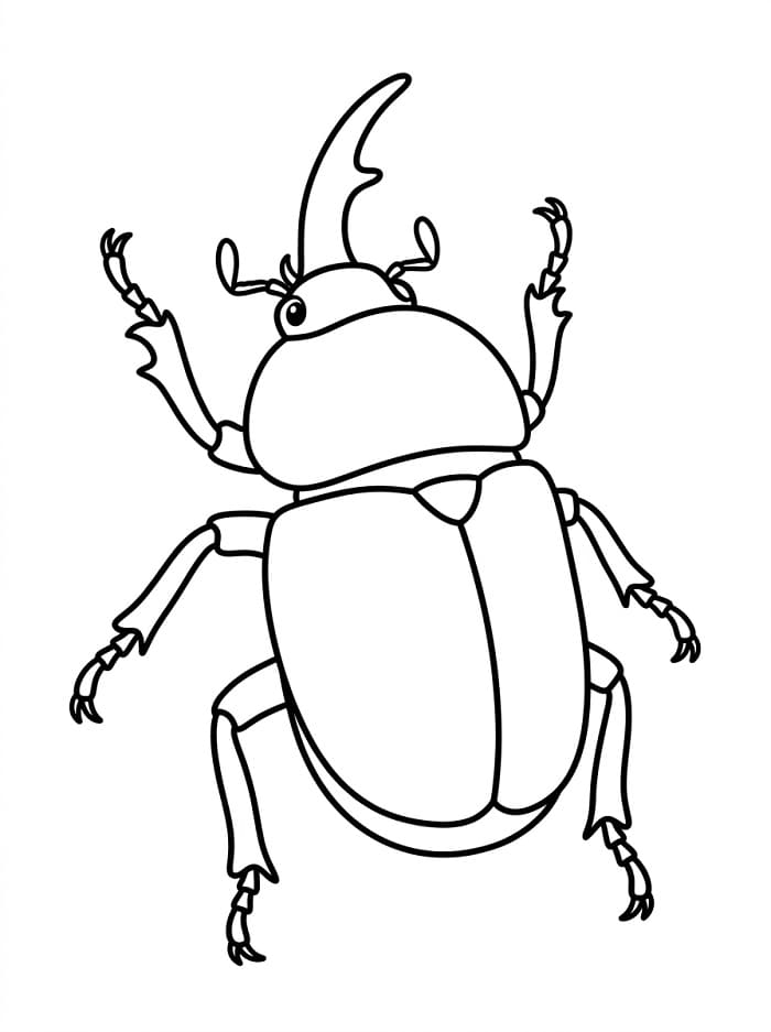 Coloriage Scarabée Gratuit