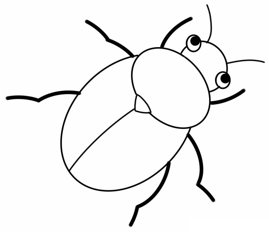 Coloriage Scarabée pour les enfants de 5 ans