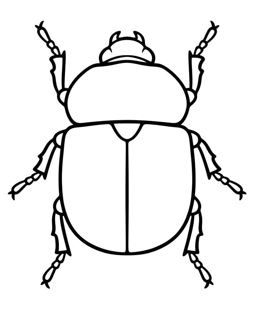 Coloriage Scarabée Pour les Enfants