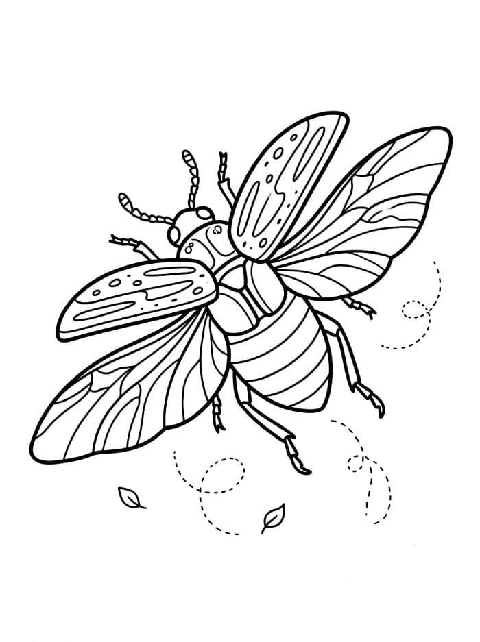 Coloriage Scarabée volant