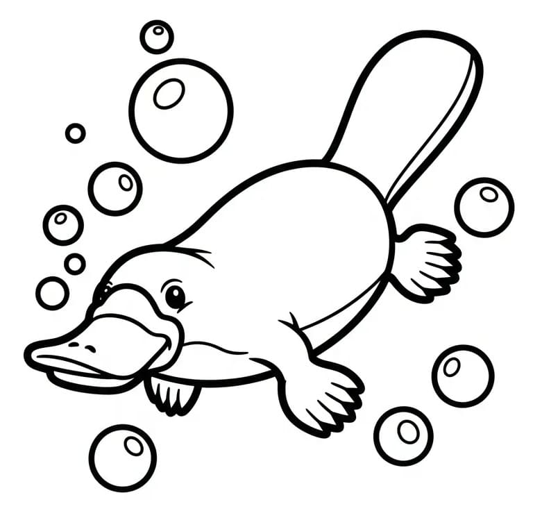 Coloriage Un Ornithorynque nageur