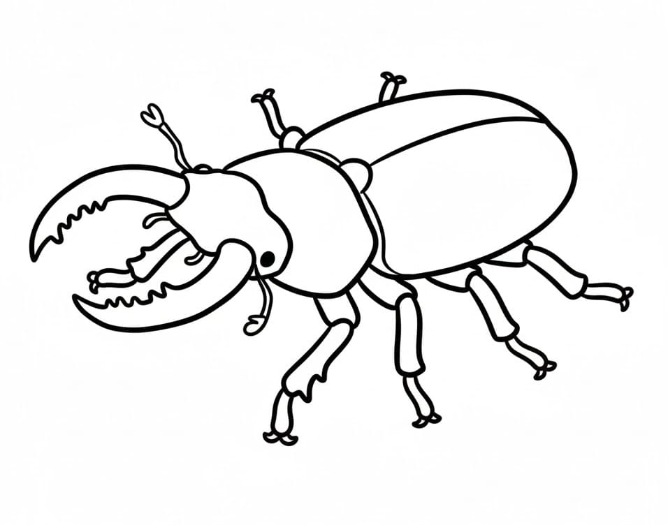 Coloriage Un scarabée facile