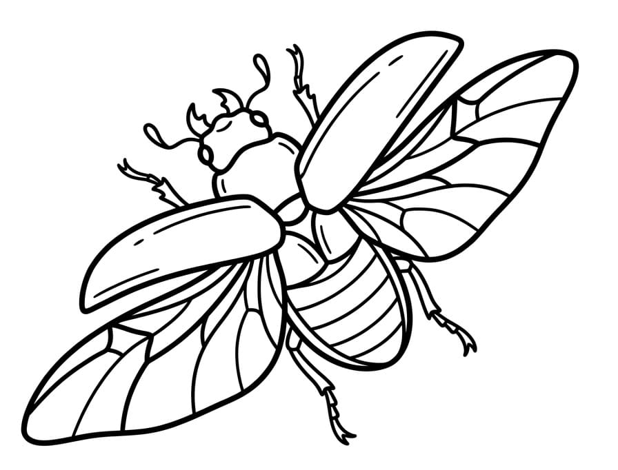 Coloriage Un scarabée volant