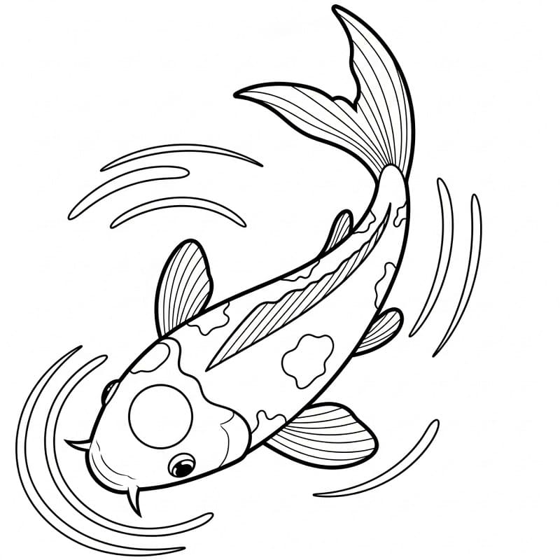 Coloriage Une carpe koï