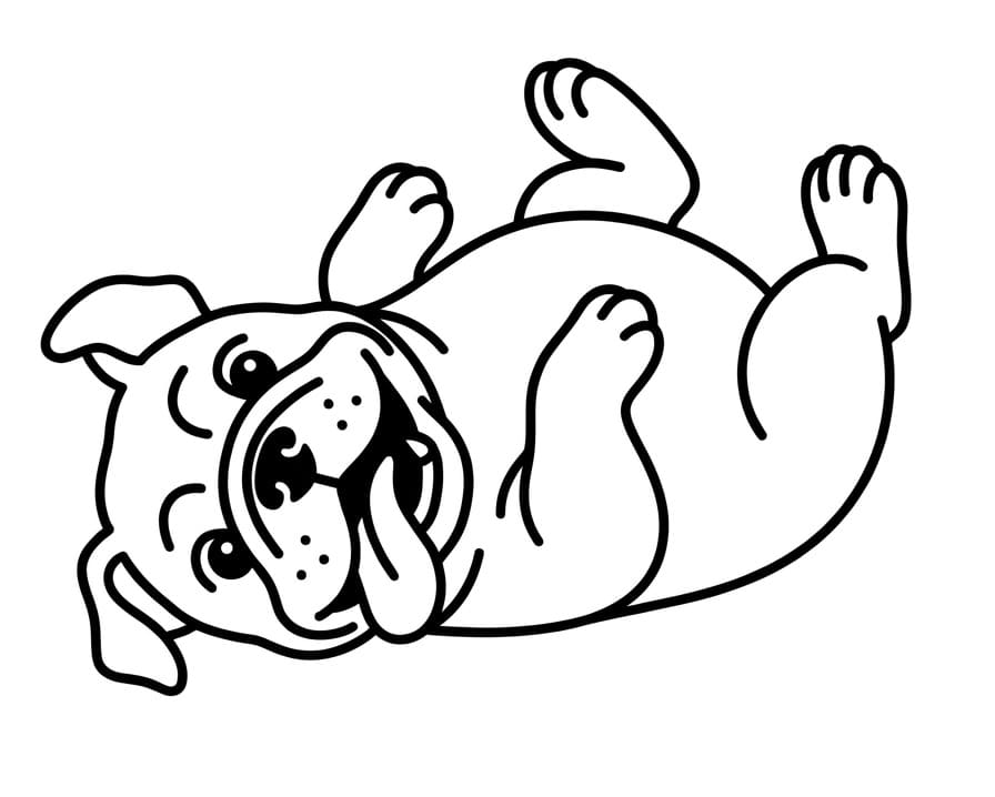 Coloriage Bouledogue drôle