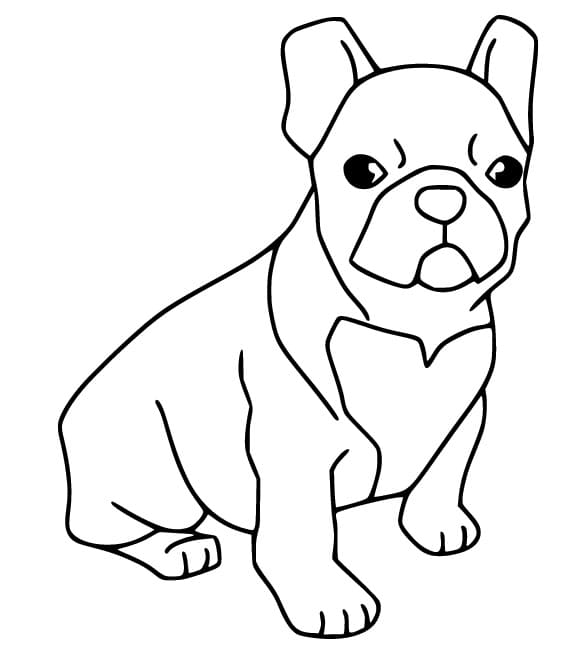Coloriage Bouledogue Gratuit