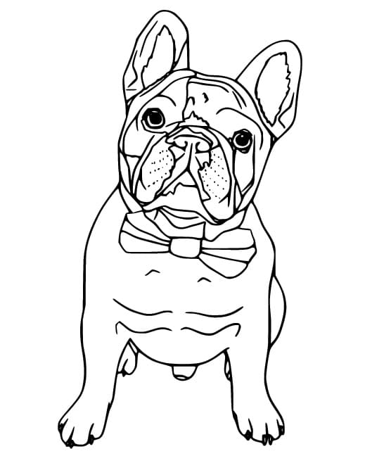 Coloriage Bouledogue Imprimable Gratuit