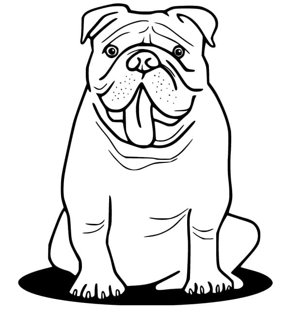 Coloriage Bouledogue Imprimable Pour les Enfants