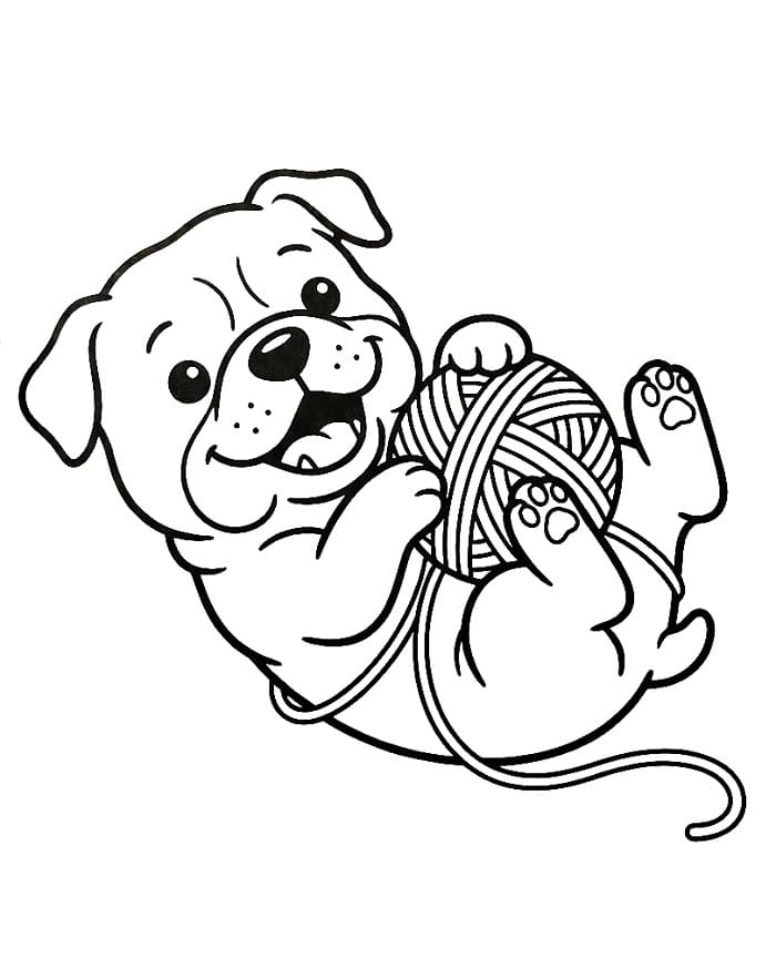 Coloriage Bouledogue joueur