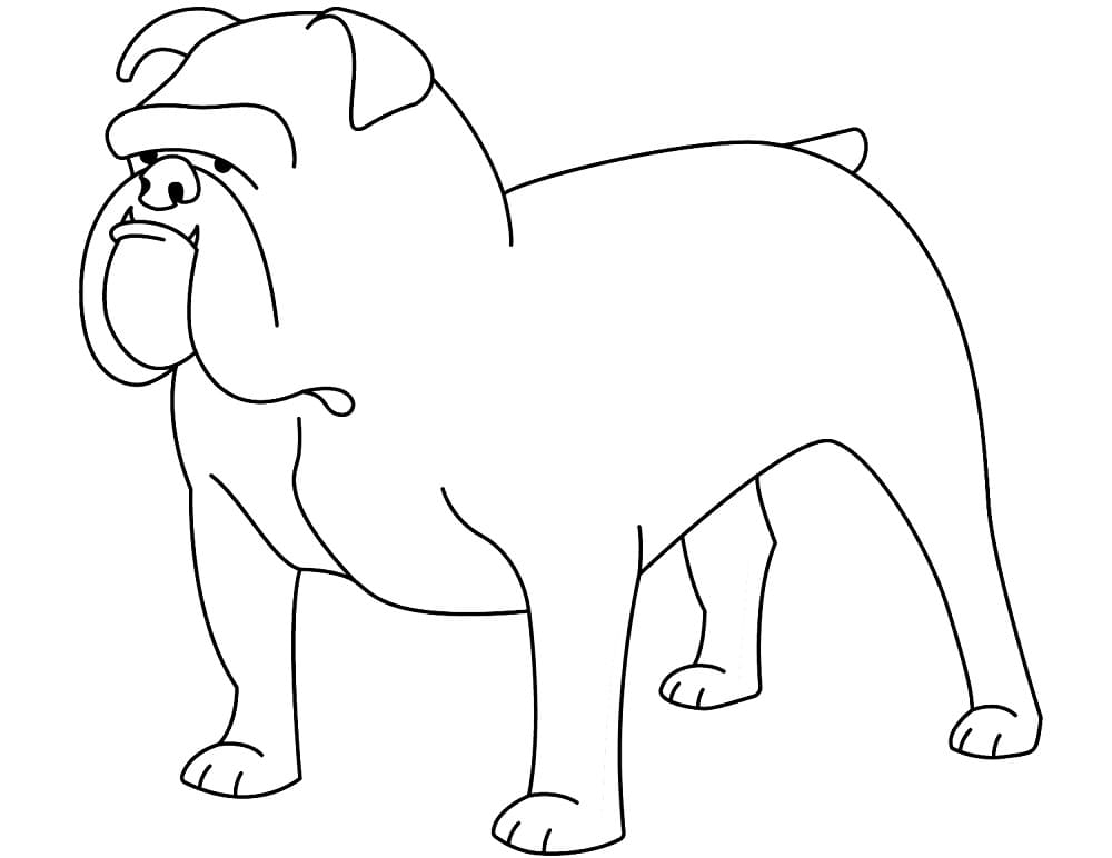 Coloriage Bouledogue Pour les Enfants