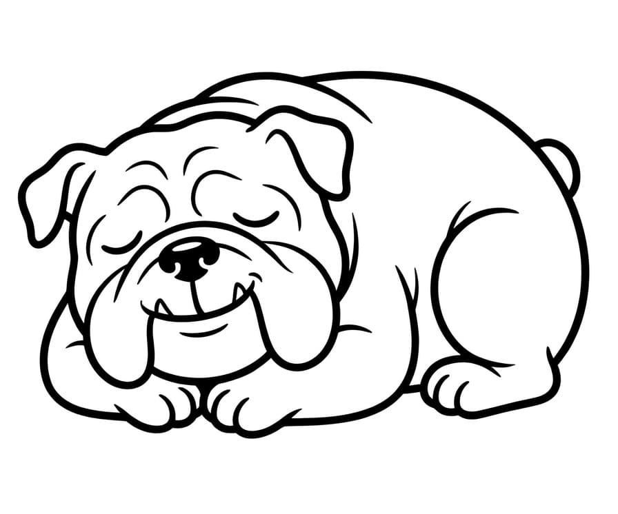 Coloriage Un bouledogue endormi