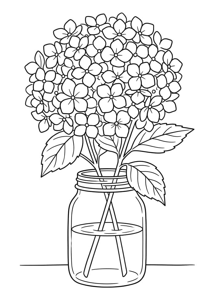 Coloriage Dessin de Hortensia