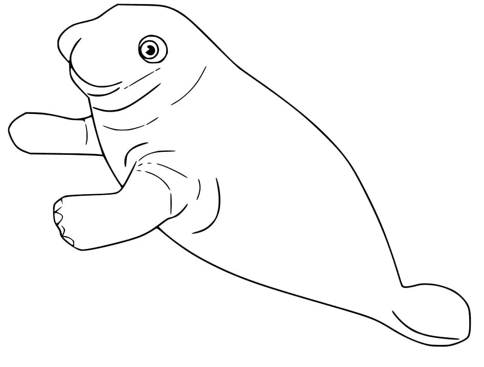 Coloriage Dessin de Lamantin