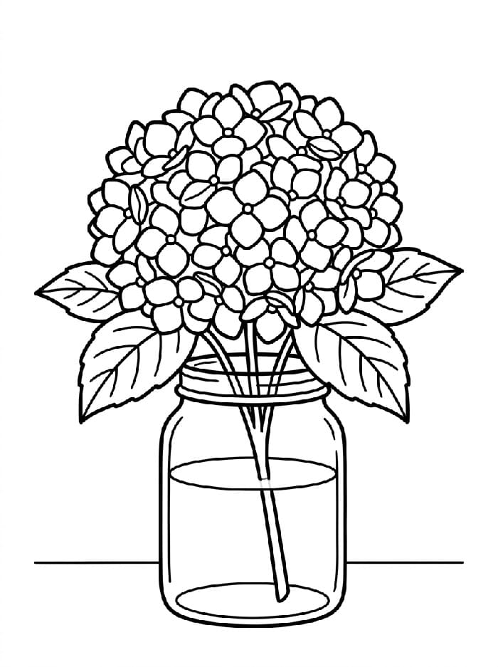 Coloriage Dessin Gratuit de Hortensia