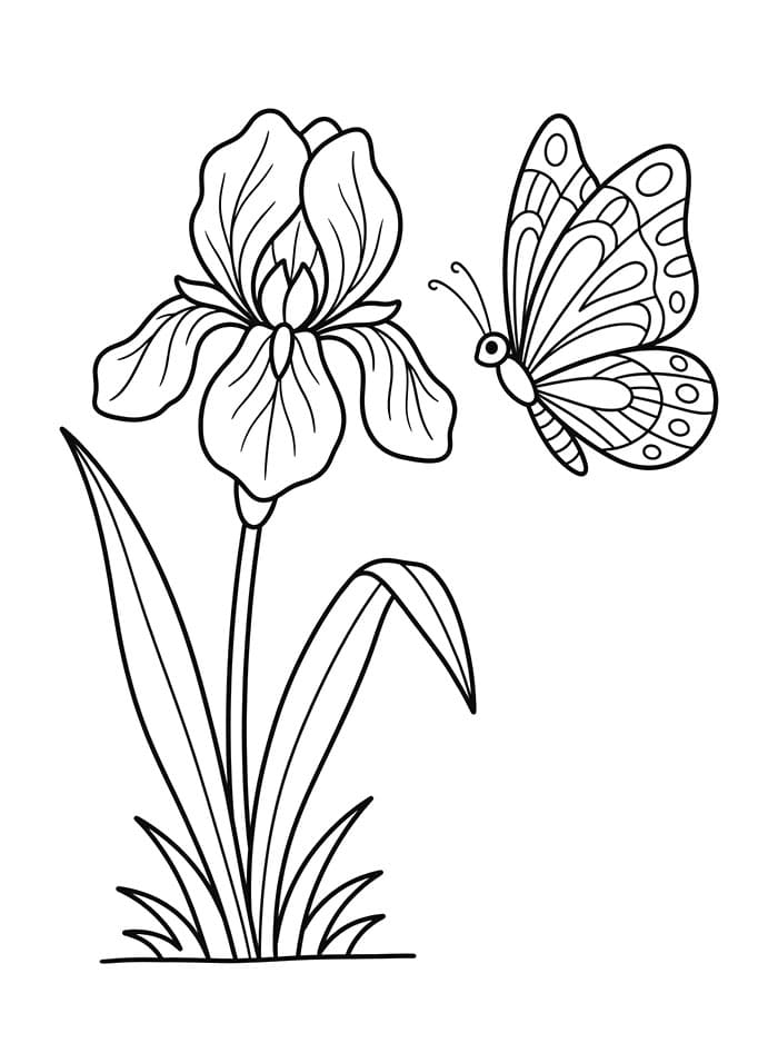 Coloriage Fleur d'iris et un papillon
