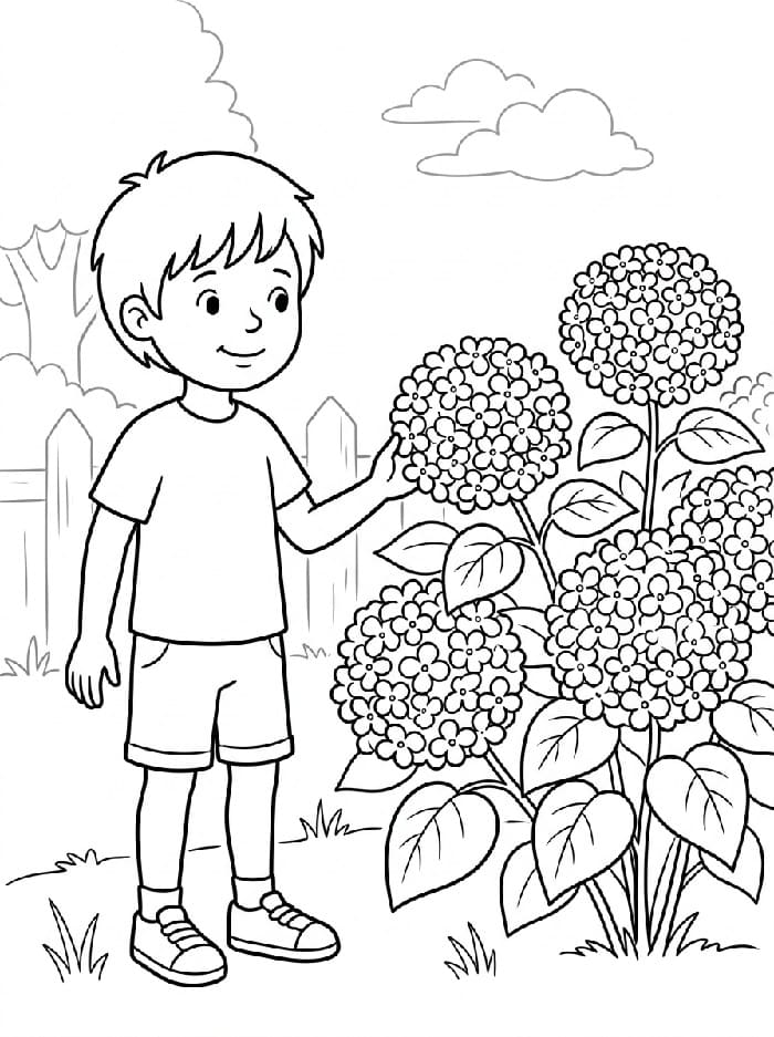 Coloriage Garçon et hortensia