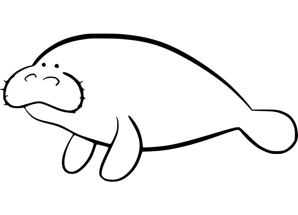 Coloriage Gratuit Lamantin Pour les Enfants
