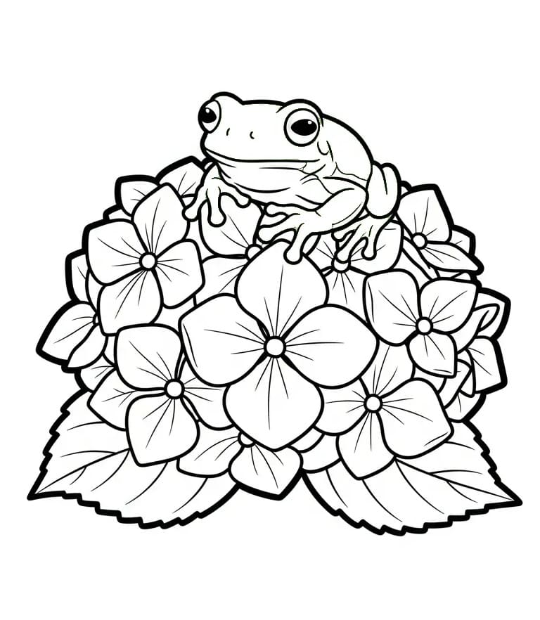 Coloriage Grenouille et hortensia
