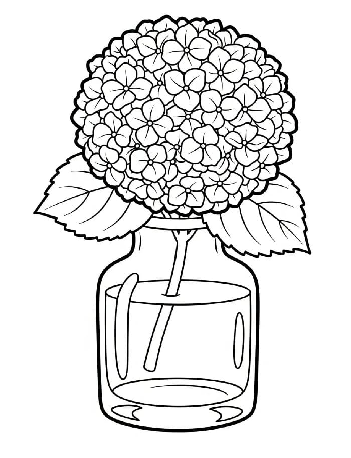 Coloriage Hortensia Imprimable Pour les Enfants