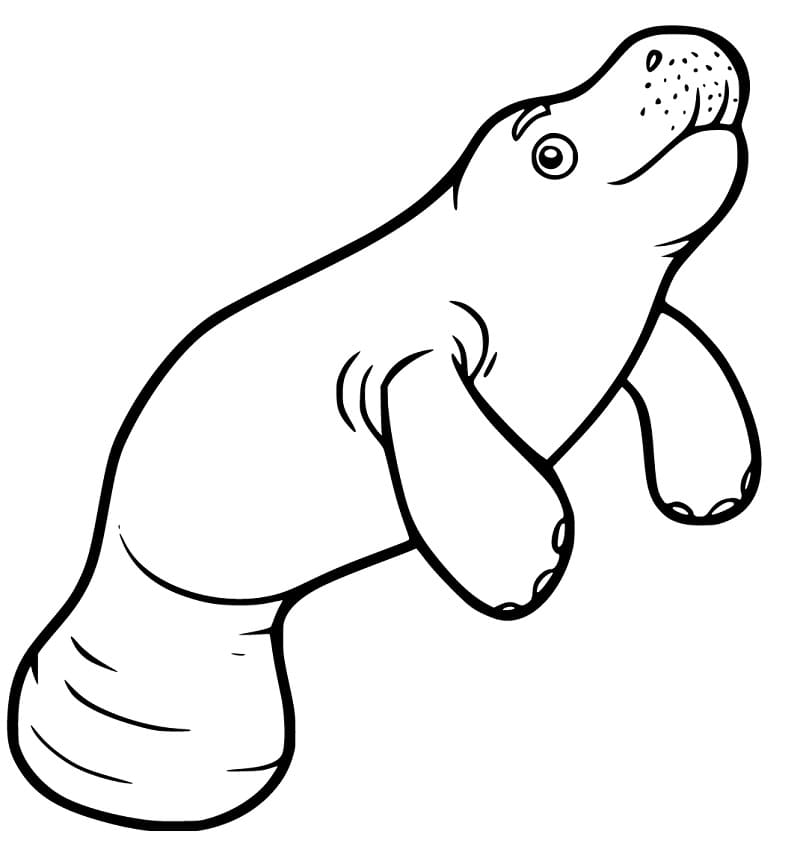 Coloriage Imprimable Gratuit Lamantin Pour les Enfants