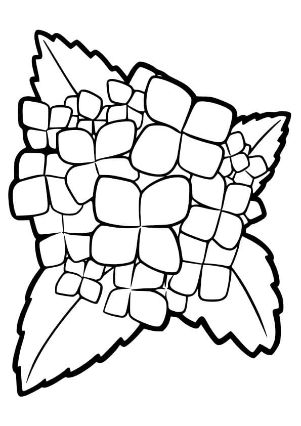Coloriage Imprimable Hortensia Pour les Enfants