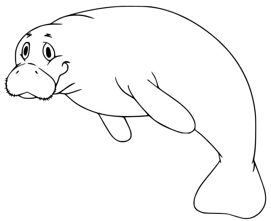 Coloriage Imprimable Lamantin