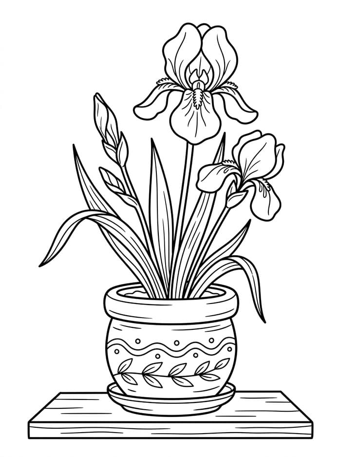 Coloriage Iris Imprimable Pour les Enfants