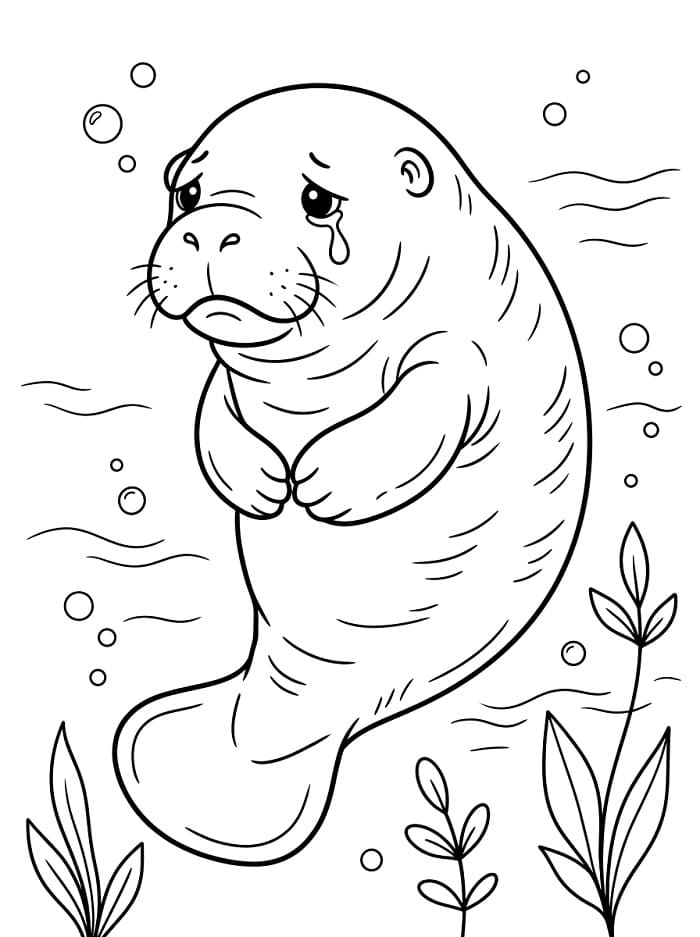 Coloriage Lamantin en pleurs