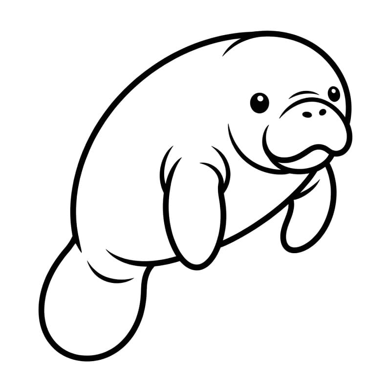 Coloriage Lamantin Gratuit
