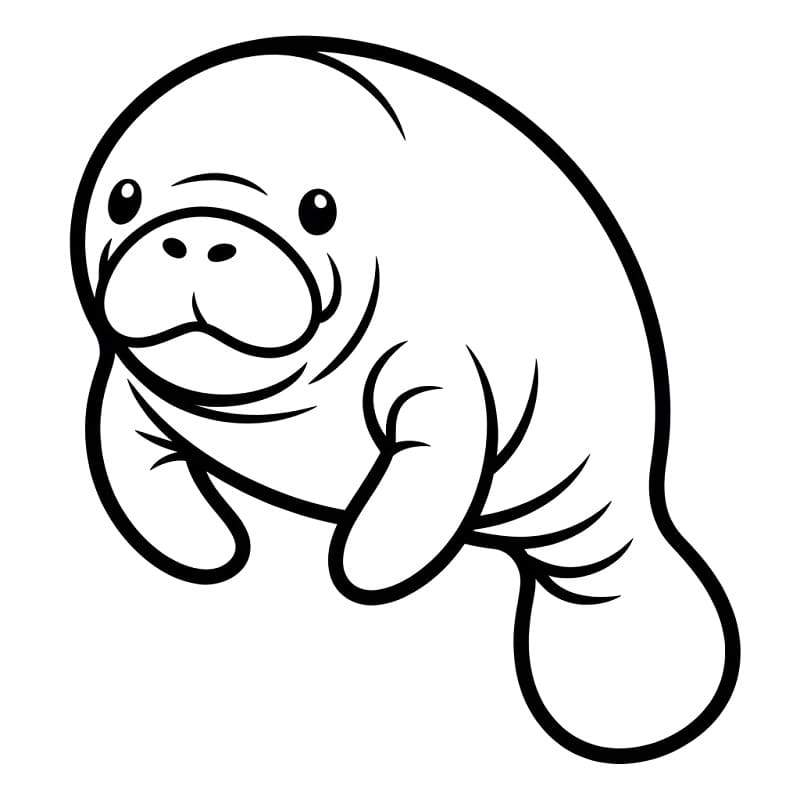 Coloriage Lamantin Imprimable Gratuit