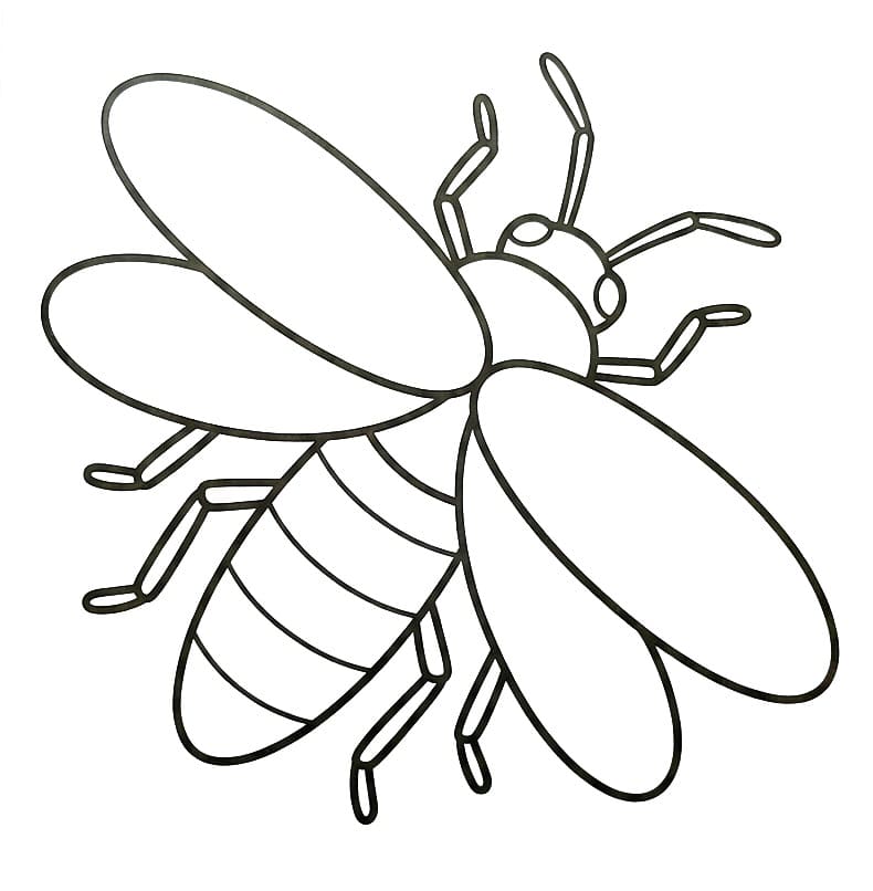 Coloriage Luciole simple