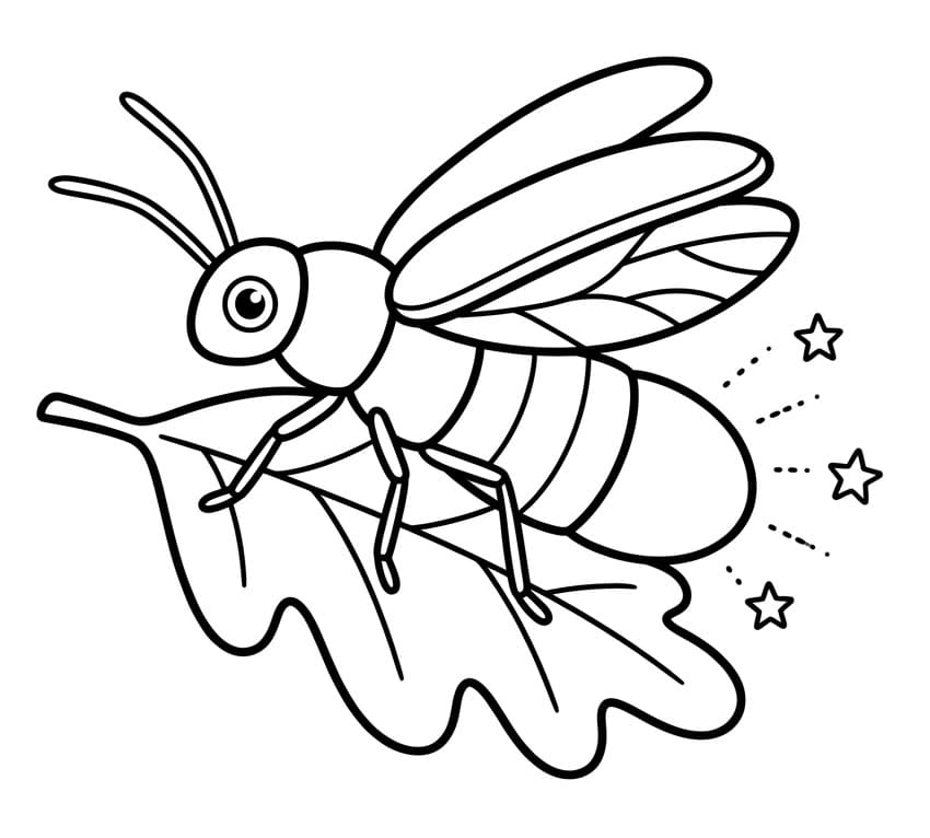 Coloriage Luciole sur une feuille