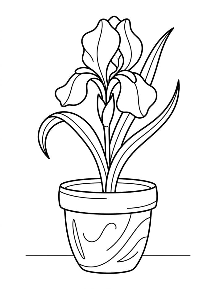 Coloriage Pot de fleurs Iris