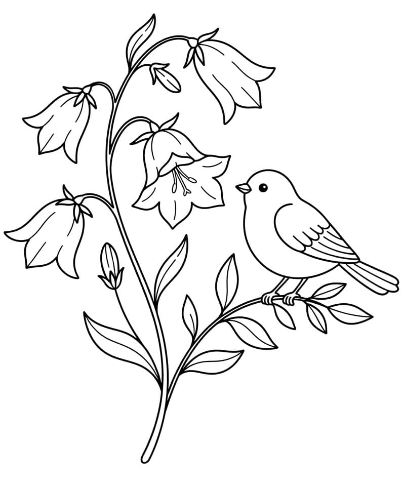 Coloriage Campanule et Oiseau