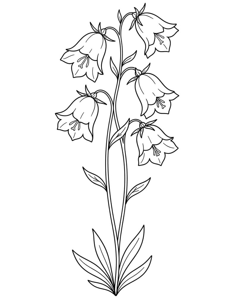 Coloriage Campanule Imprimable Gratuit Pour les Enfants
