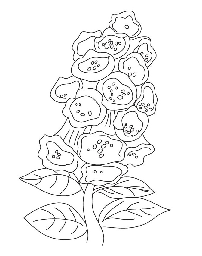 Coloriage Campanule Imprimable Pour les Enfants