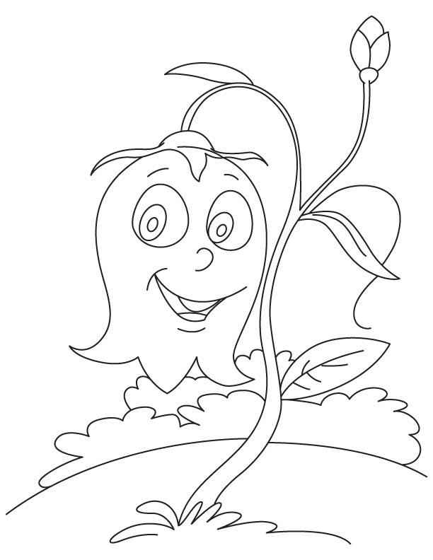 Coloriage Gratuit Campanule Pour les Enfants