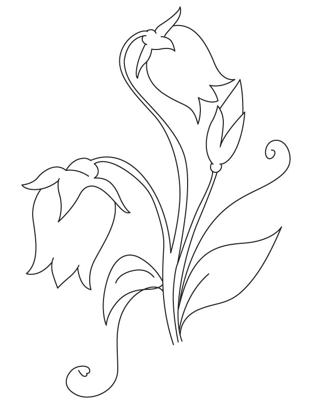 Coloriage Imprimable Campanule Pour les Enfants