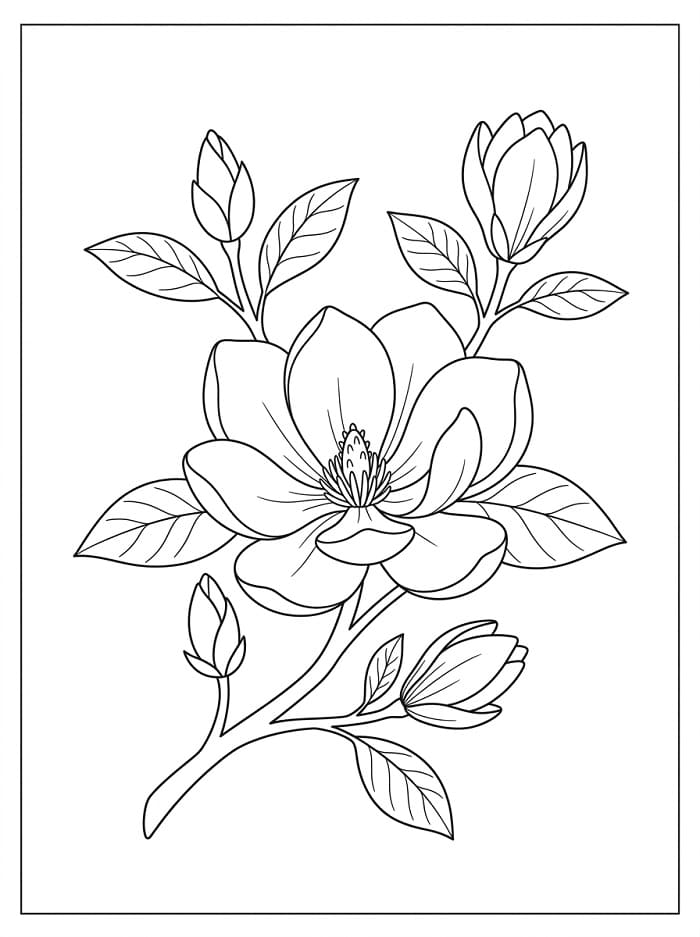 Coloriage Magnifique magnolia