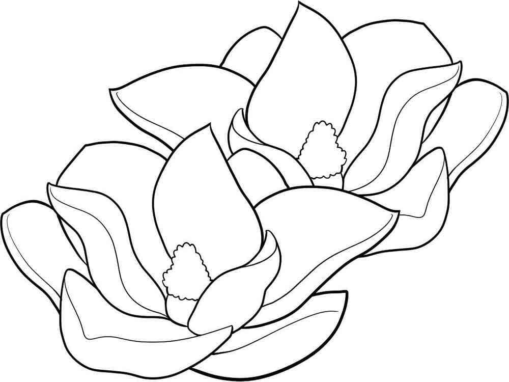 Coloriage Magnolia Imprimable Pour les Enfants
