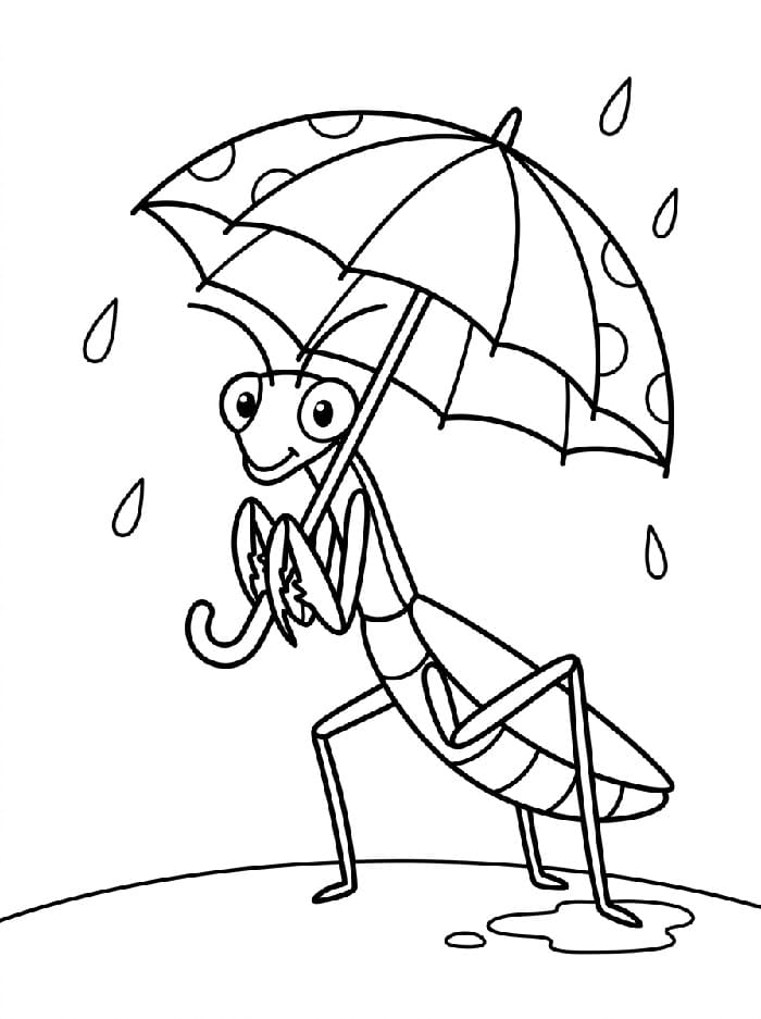 Coloriage Mante religieuse avec parapluie