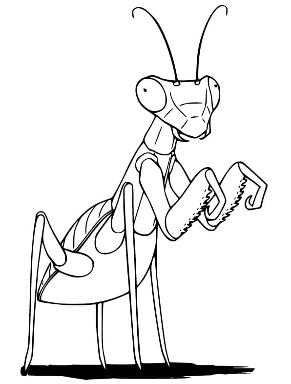 Coloriage Mante Religieuse Pour Enfants