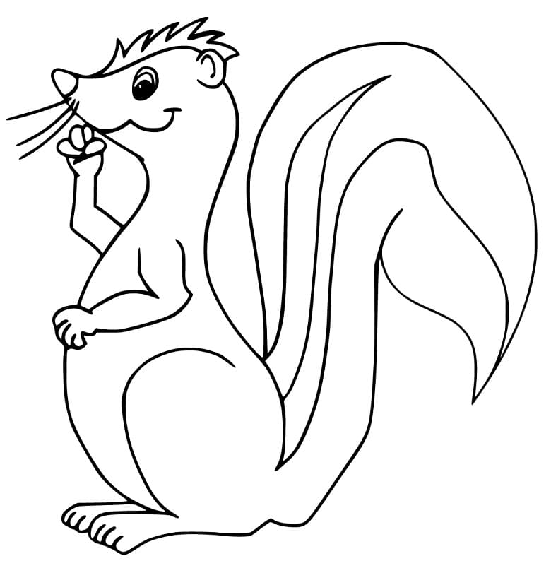 Coloriage Moufette facile