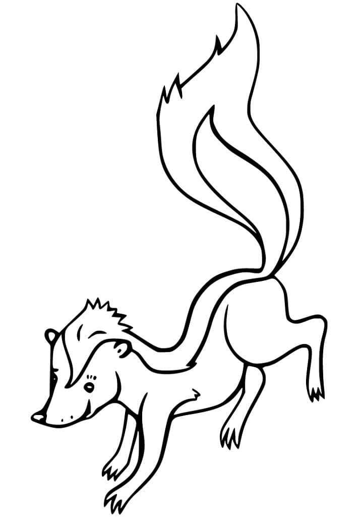 Coloriage Mouffette Gratuit Pour les Enfants
