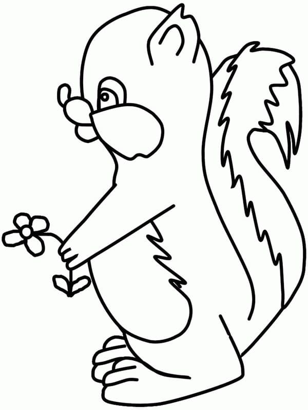 Coloriage Mouffette Imprimable