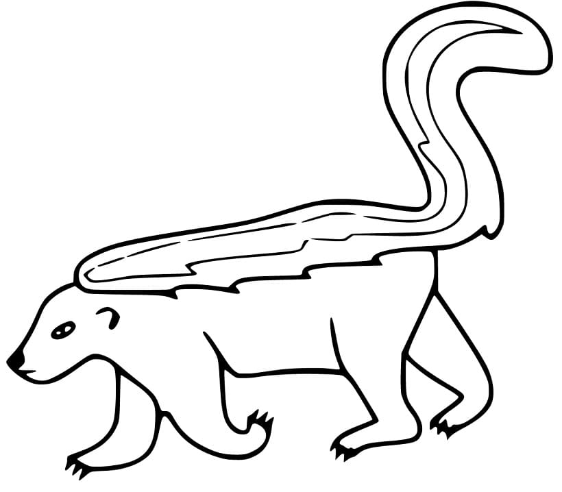 Coloriage Mouffette Pour Enfants