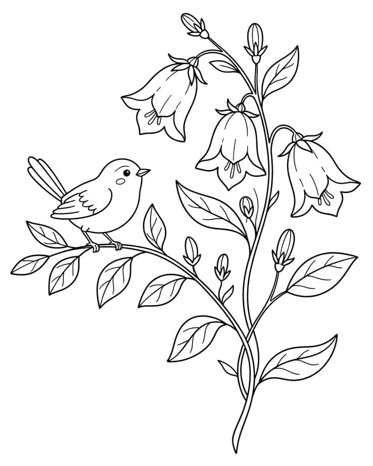 Coloriage Oiseau et campanule