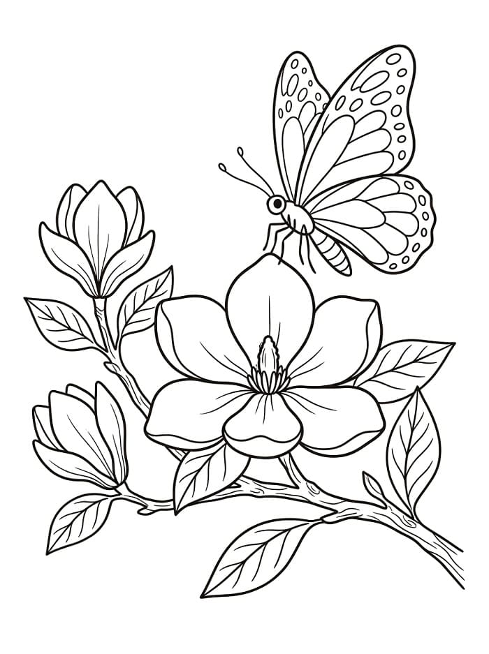 Coloriage Papillon avec magnolia