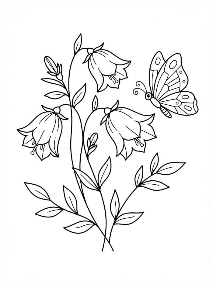 Coloriage Papillon et campanule